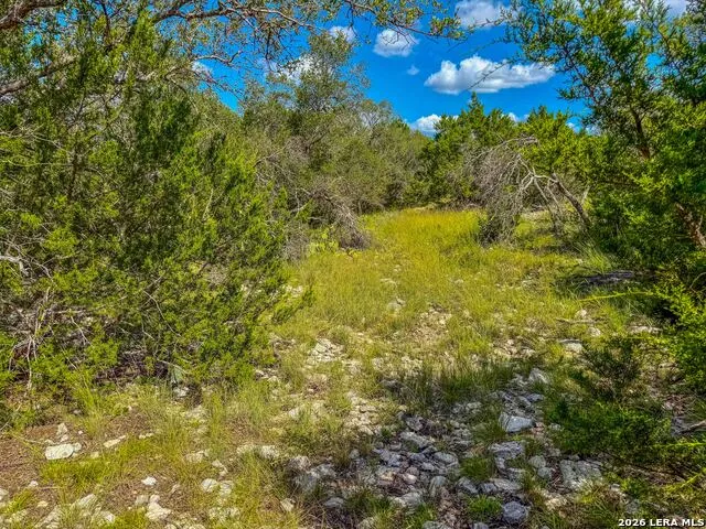 20945 Cactus Rd Eldorado, TX 76936