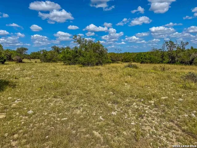 20945 Cactus Rd Eldorado, TX 76936