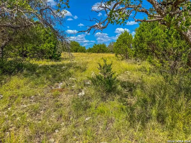 20945 Cactus Rd Eldorado, TX 76936