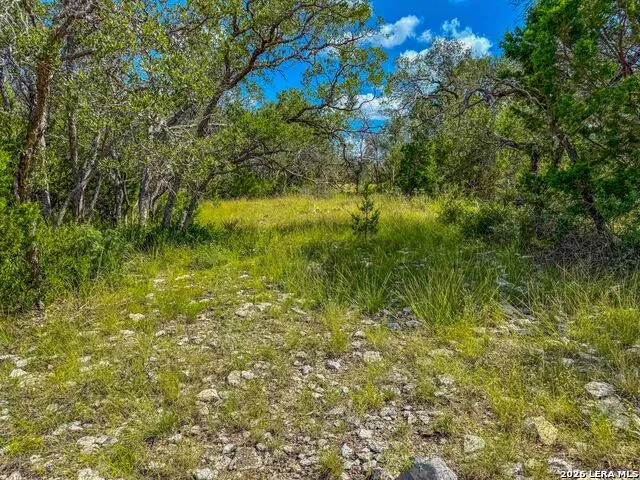 20945 Cactus Rd Eldorado, TX 76936