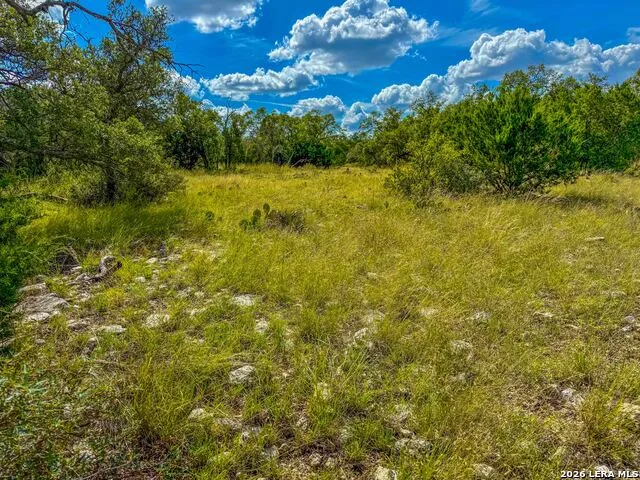 20945 Cactus Rd Eldorado, TX 76936
