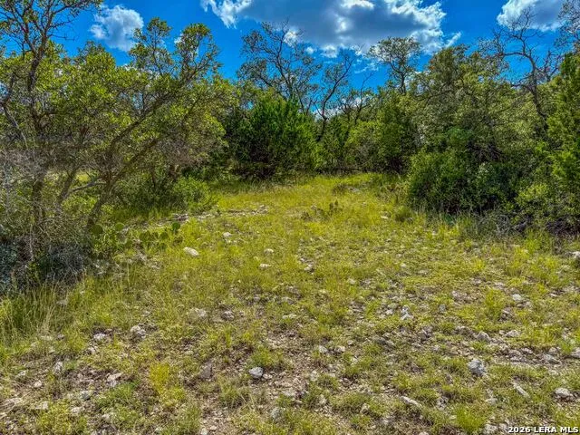 20945 Cactus Rd Eldorado, TX 76936