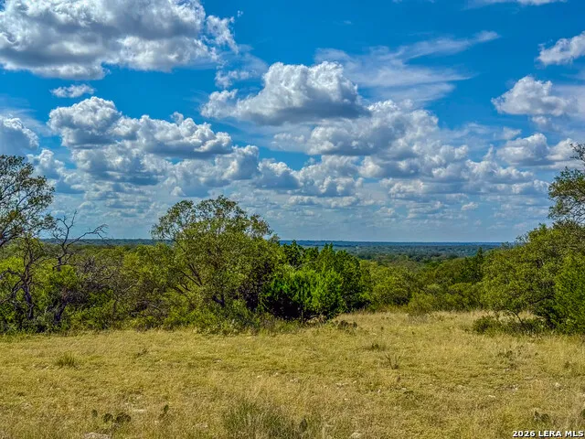 20945 Cactus Rd Eldorado, TX 76936