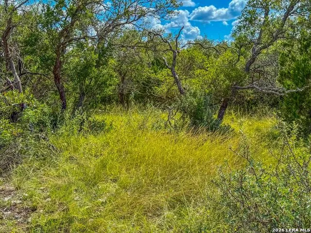 20945 Cactus Rd Eldorado, TX 76936
