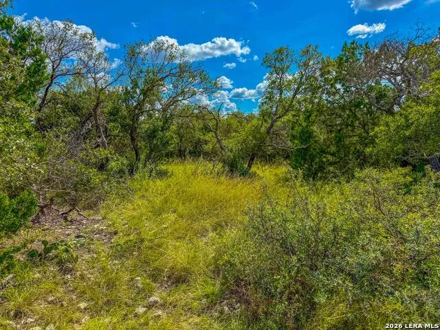 20945 Cactus Rd Eldorado, TX 76936