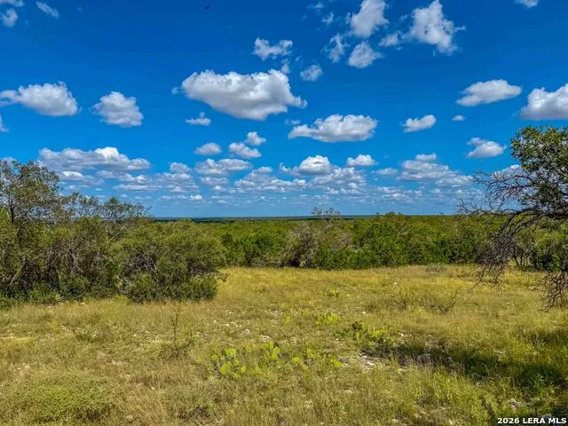 20945 Cactus Rd Eldorado, TX 76936