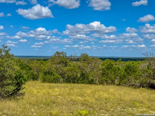 20945 Cactus Rd Eldorado, TX 76936