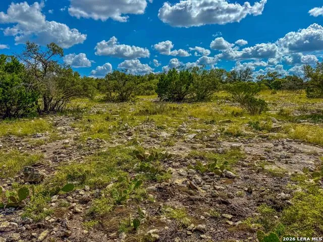 20945 Cactus Rd Eldorado, TX 76936