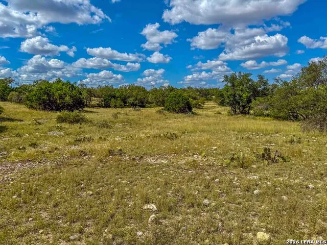 20945 Cactus Rd Eldorado, TX 76936