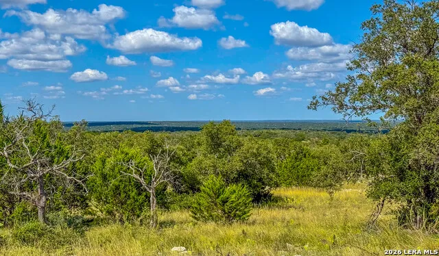 20945 Cactus Rd Eldorado, TX 76936