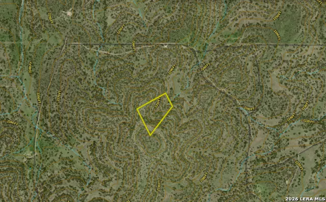 20945 Cactus Rd Eldorado, TX 76936
