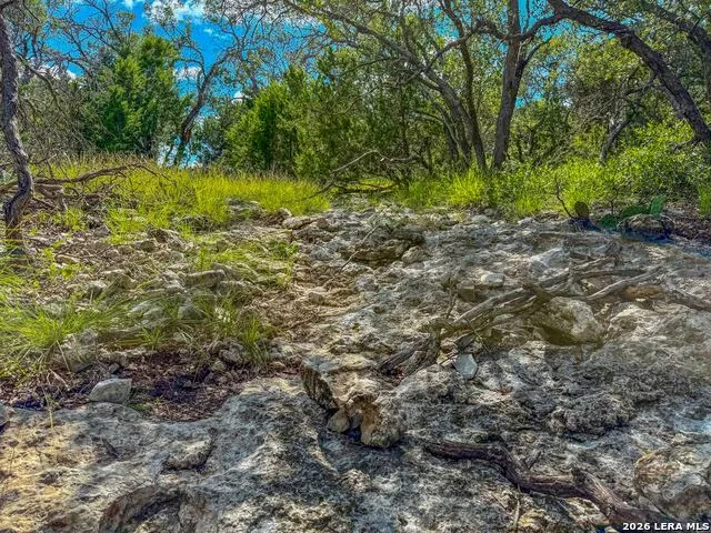 20945 Cactus Rd Eldorado, TX 76936