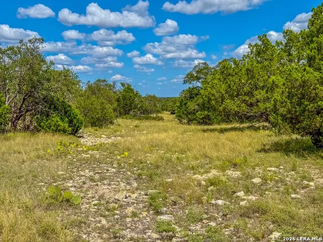 20945 Cactus Rd Eldorado, TX 76936