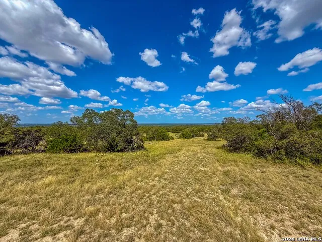 20945 Cactus Rd Eldorado, TX 76936