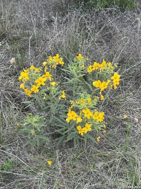 LOT 52 CLEARWATER CANYON RD Bandera, TX 78003