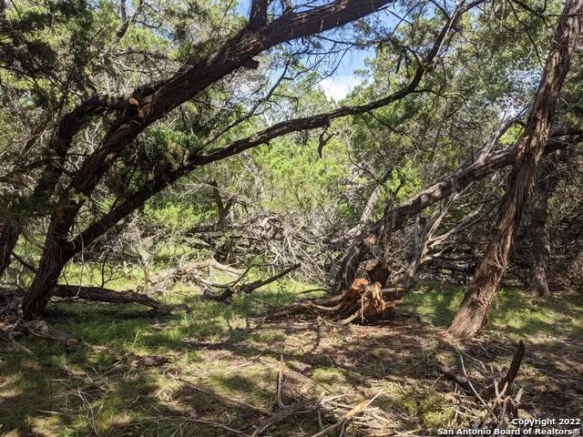 LOT 52 CLEARWATER CANYON RD Bandera, TX 78003