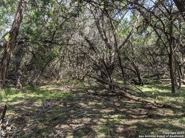 LOT 52 CLEARWATER CANYON RD Bandera, TX 78003