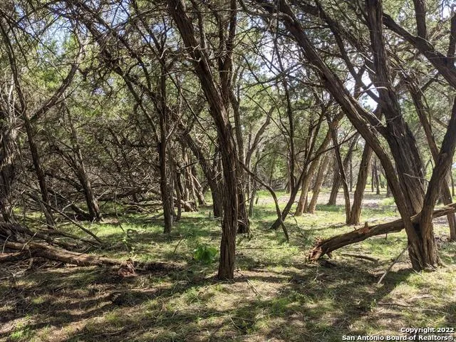 LOT 52 CLEARWATER CANYON RD Bandera, TX 78003