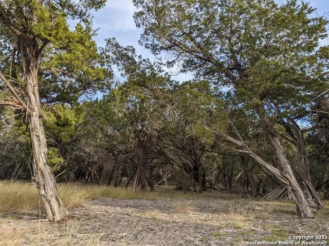LOT 52 CLEARWATER CANYON RD Bandera, TX 78003