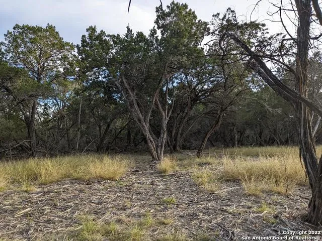 LOT 52 CLEARWATER CANYON RD Bandera, TX 78003