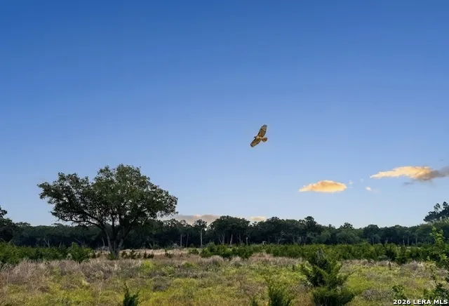 LOT 52 CLEARWATER CANYON RD Bandera, TX 78003