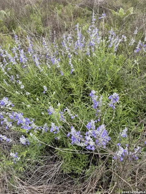 LOT 52 CLEARWATER CANYON RD Bandera, TX 78003