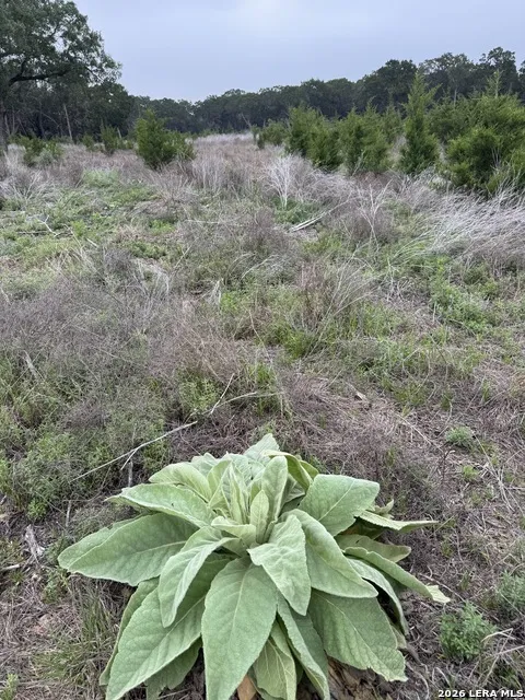 LOT 52 CLEARWATER CANYON RD Bandera, TX 78003