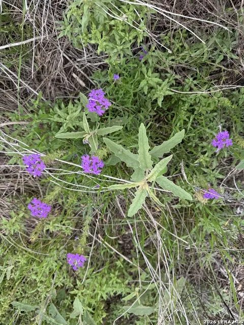 LOT 52 CLEARWATER CANYON RD Bandera, TX 78003