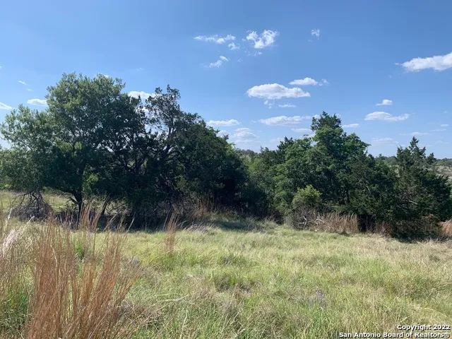 02 Verde Ct. Fredericksburg, TX 78624