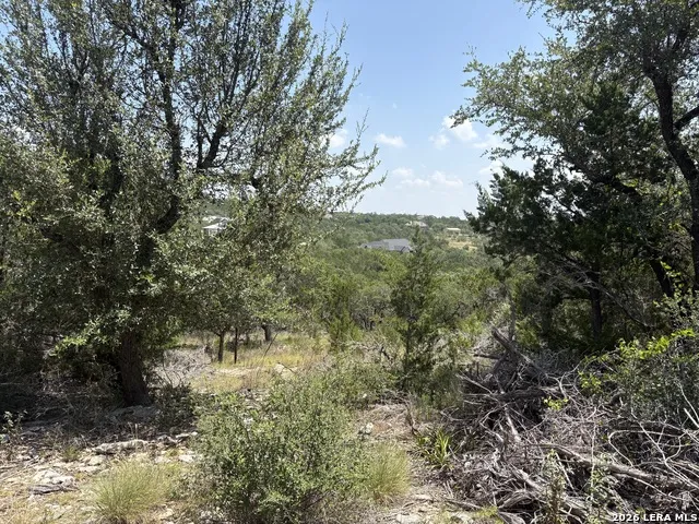 564 (LOT 2000) Rock Trail Place Spring Branch, TX 78070