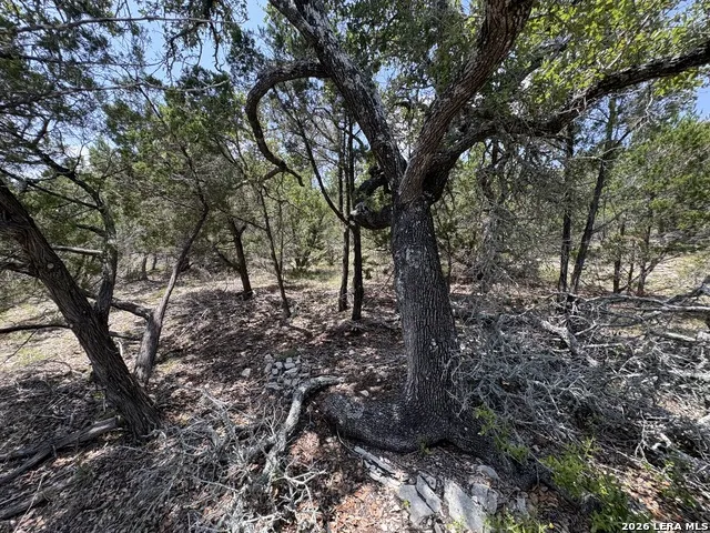 564 (LOT 2000) Rock Trail Place Spring Branch, TX 78070