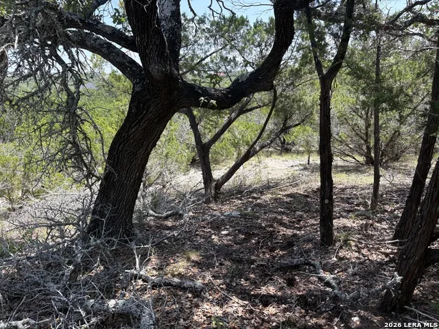 564 (LOT 2000) Rock Trail Place Spring Branch, TX 78070