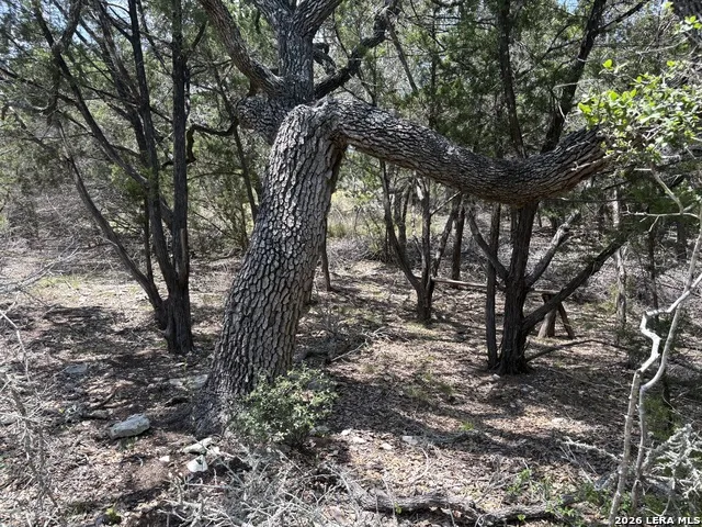 564 (LOT 2000) Rock Trail Place Spring Branch, TX 78070