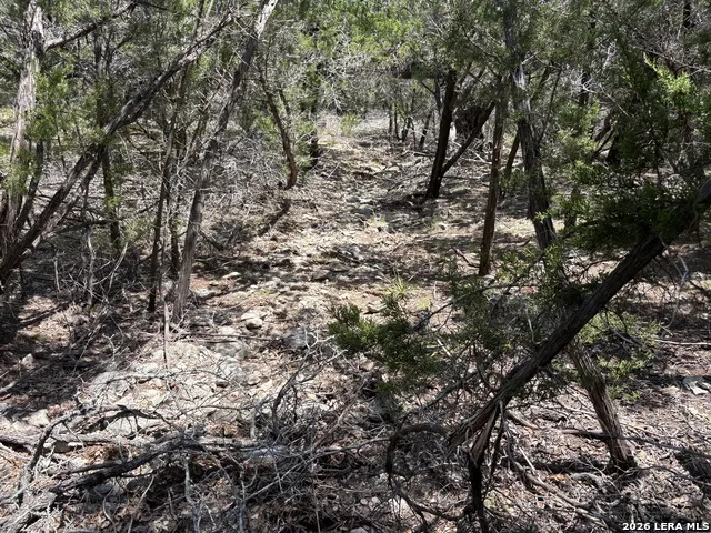 564 (LOT 2000) Rock Trail Place Spring Branch, TX 78070
