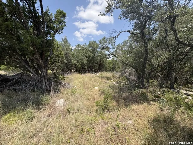 564 (LOT 2000) Rock Trail Place Spring Branch, TX 78070