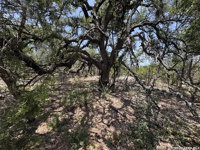 564 (LOT 2000) Rock Trail Place Spring Branch, TX 78070