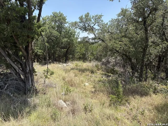 564 (LOT 2000) Rock Trail Place Spring Branch, TX 78070