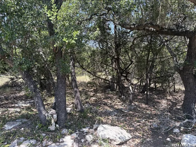 564 (LOT 2000) Rock Trail Place Spring Branch, TX 78070