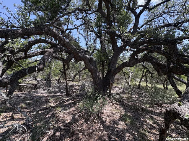 564 (LOT 2000) Rock Trail Place Spring Branch, TX 78070