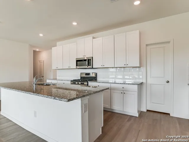 32142 ESCAROLE BND Bulverde, TX 78163