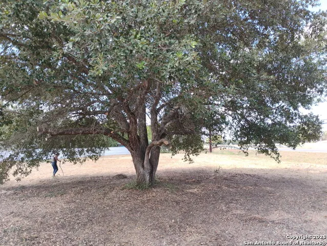 17095 Old Corpus Christi Elmendorf, TX 78112