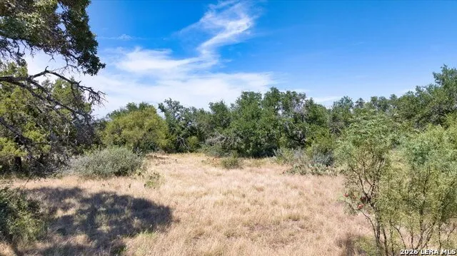 264 PHEASANT TRL Menard, TX 76859