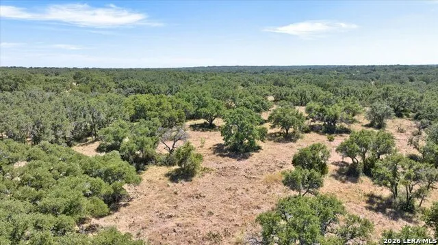 264 PHEASANT TRL Menard, TX 76859