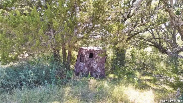 264 PHEASANT TRL Menard, TX 76859