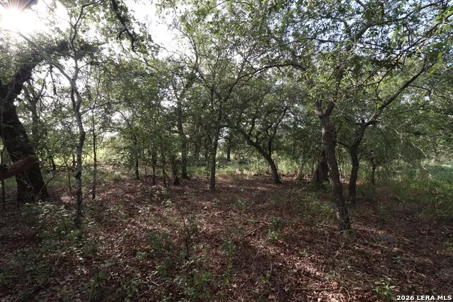 5668 State Highway 97 Floresville, TX 78114