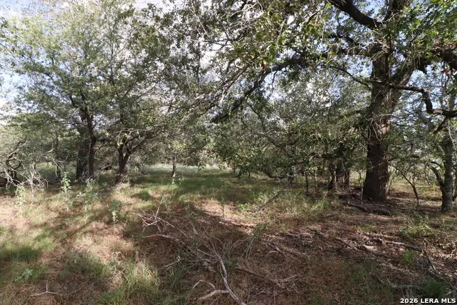 5668 State Highway 97 Floresville, TX 78114