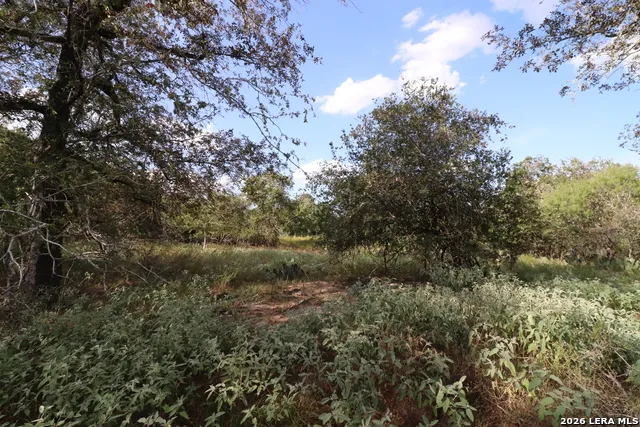 5668 State Highway 97 Floresville, TX 78114