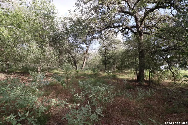 5668 State Highway 97 Floresville, TX 78114