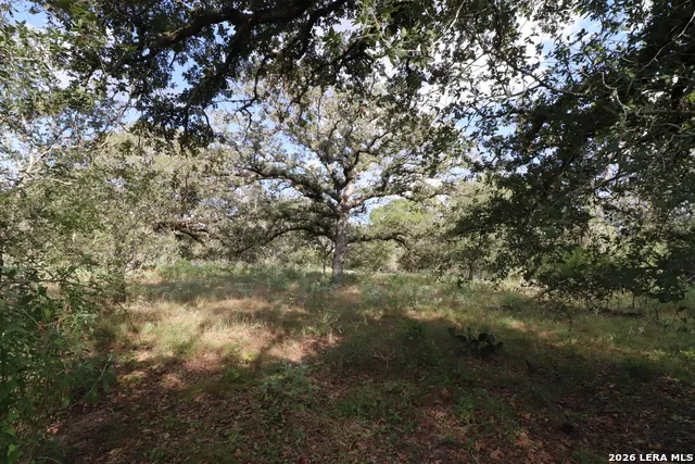 5668 State Highway 97 Floresville, TX 78114
