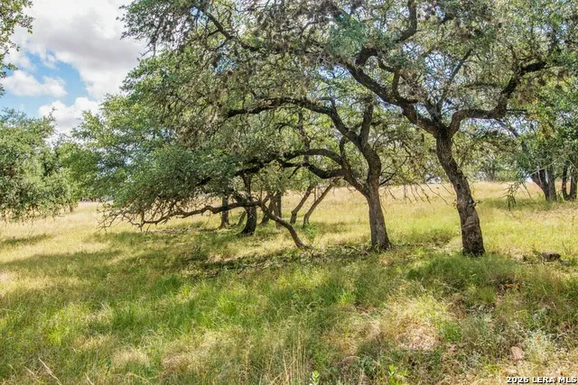 18954 STATE HIGHWAY 16 N Medina, TX 78055